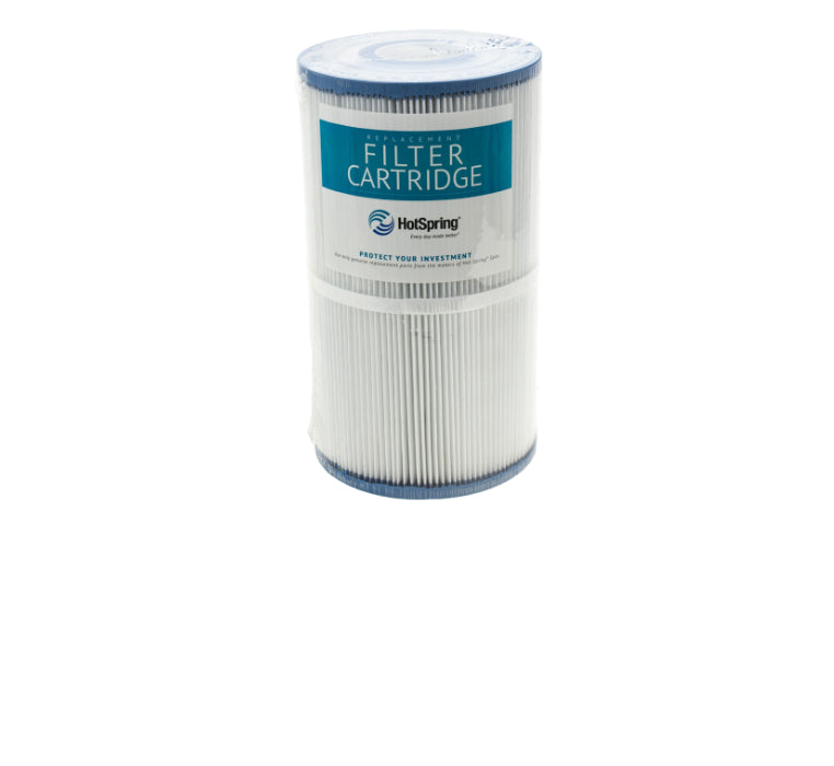 HotSpring Spa Filter #71825 - 71826 of 31489